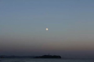 IMG_27688507037575