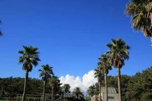 IMG_27717435779031