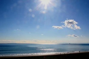 IMG_27779435077126