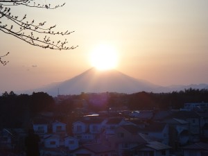 DSC09796