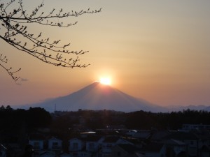 DSC09798