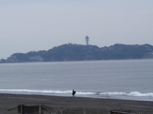 P4200310