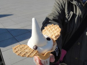 DSC07638