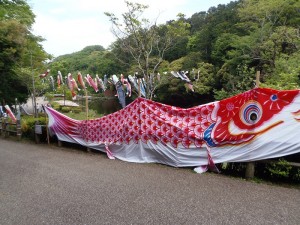 P5030313