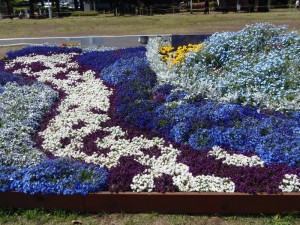 P5040329