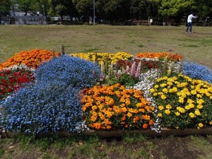 P5040331