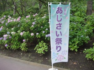 DSC00165