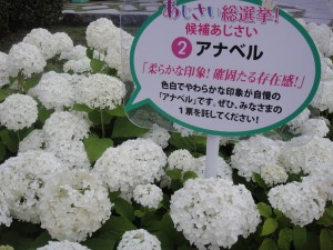 DSC00188