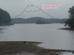 P5250291