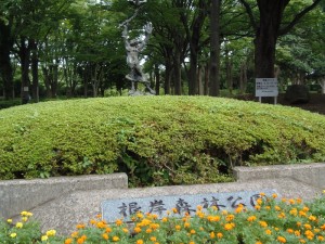 P7200298