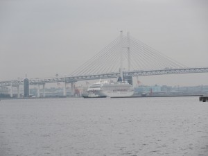 IMG_0355