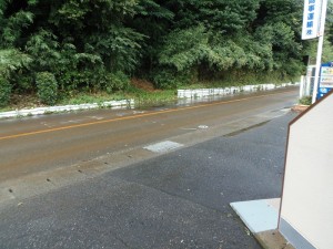 PA060350