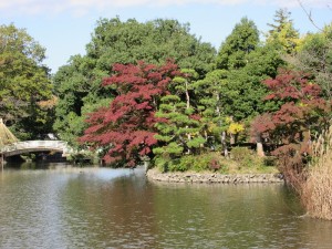 IMG_0470