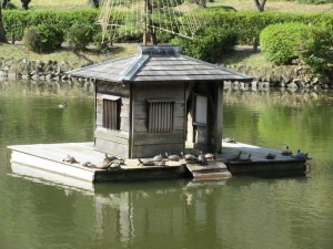 IMG_0473