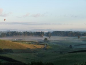 IMG_1524