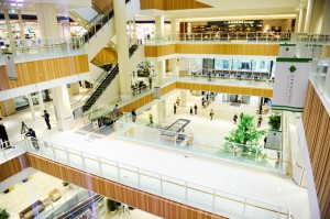 grand_tree_26