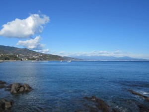 IMG_1008