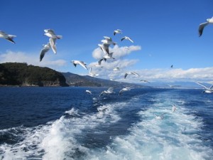 IMG_1040