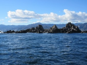 IMG_1041