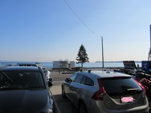 IMG_1361