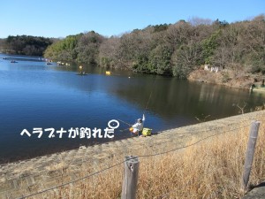 IMG_1405