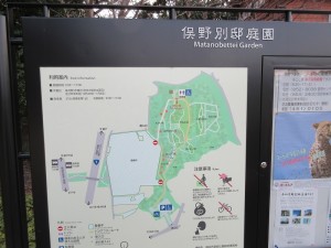 IMG_1783