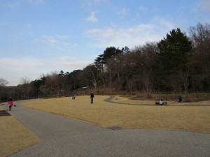 IMG_1784