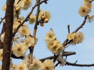 IMG_1798