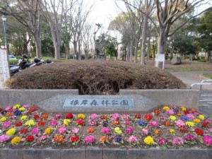 IMG_1852