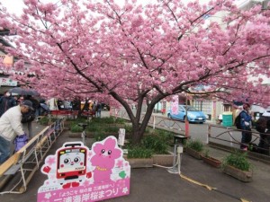 IMG_1869
