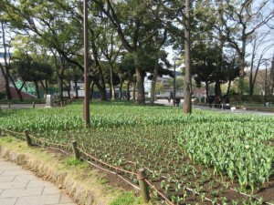 IMG_1956
