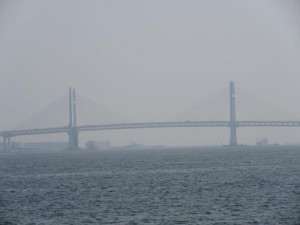 IMG_1973