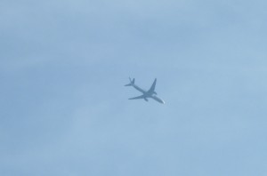 DSCF04251