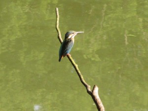 IMG_3151