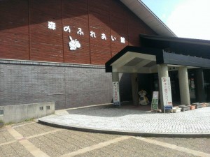 IMAG0356