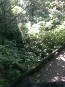 IMAG0359