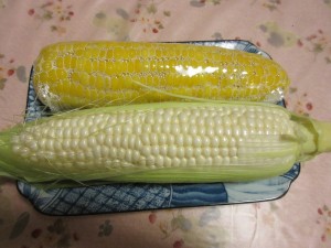 IMG_3370