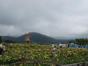 IMG_3579