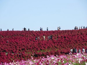IMG_3798