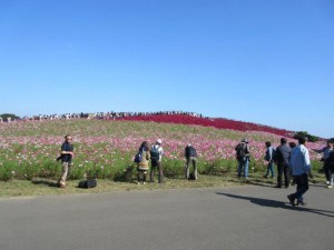 IMG_3846