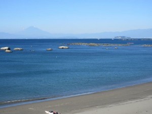 IMG_3895