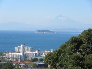 IMG_3904