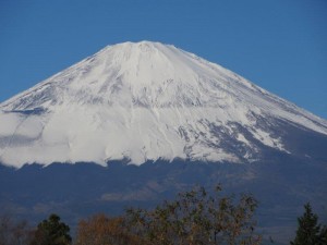 IMG_4289