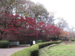 IMG_4406