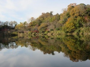 IMG_4411