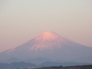 IMG_4676