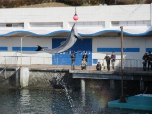 IMG_4936