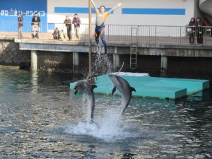 IMG_4943