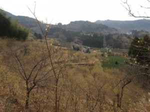 IMG_5057