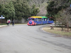 IMG_5143